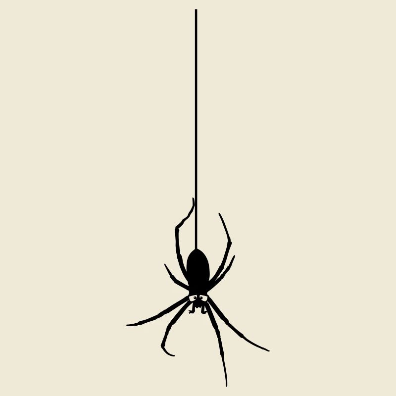 Die Spinne