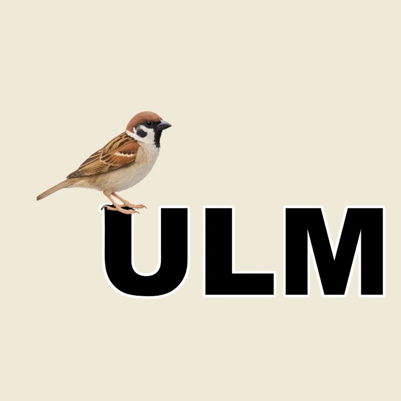 Lentilles Ulmer Spatz avec Spätzla Souabe