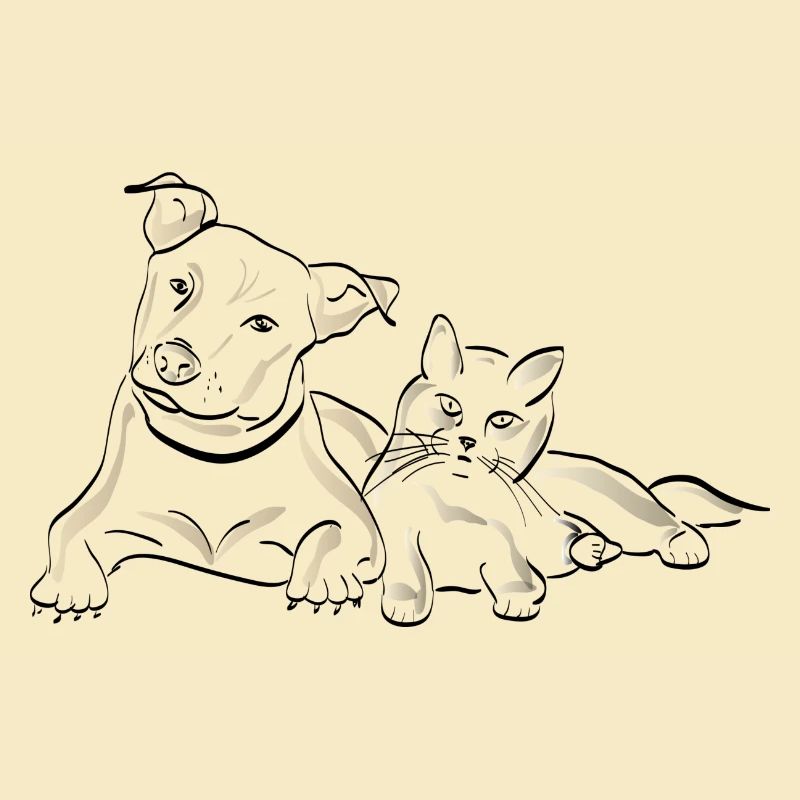 Chat chien