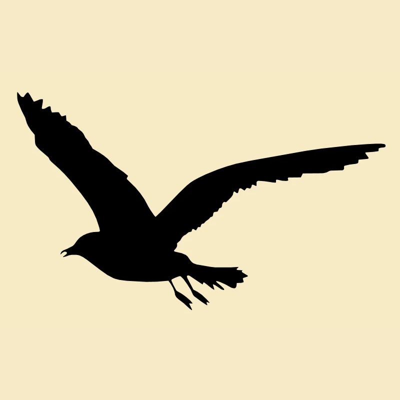 mouette