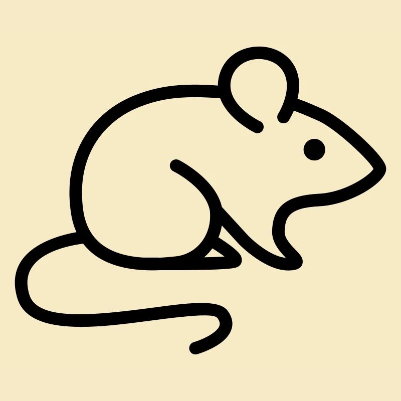 souris