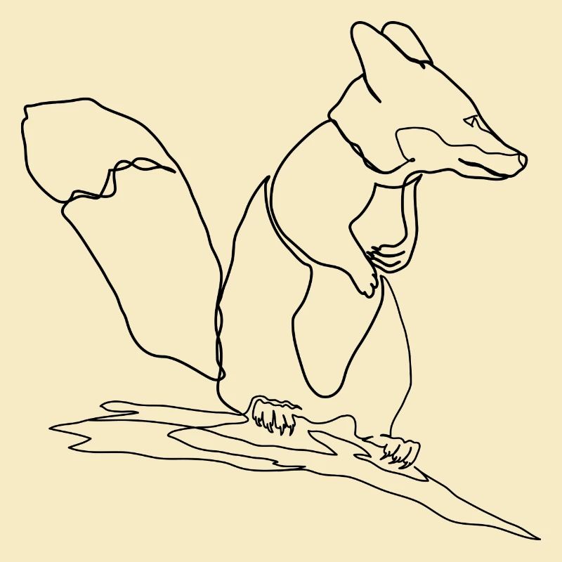 Fox Squirrel Squirrel Fox