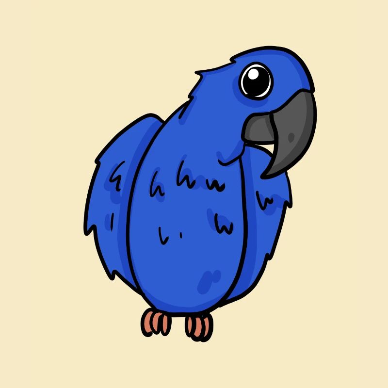 Hyacinth Macaw Parrot Bird
