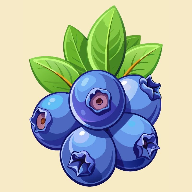 Myrtilles