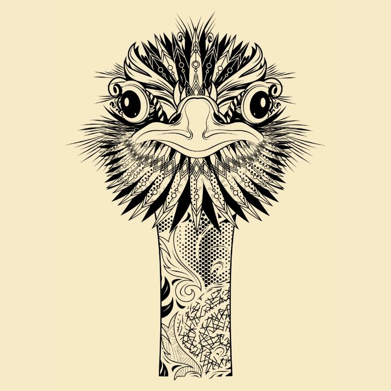 ostrich