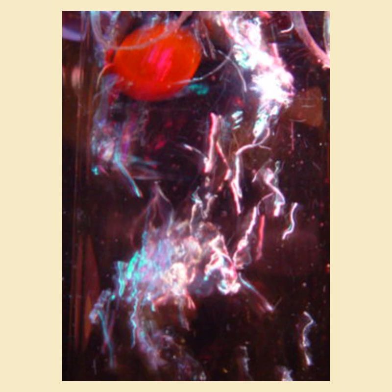 Neon Fluid Reflection
