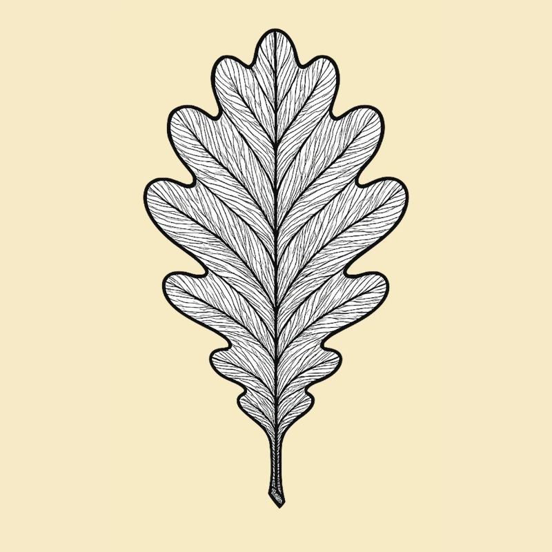Monochromes Eichenblatt-Design