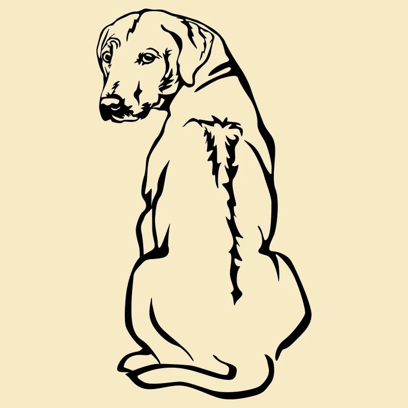 Rhodesian Ridgeback