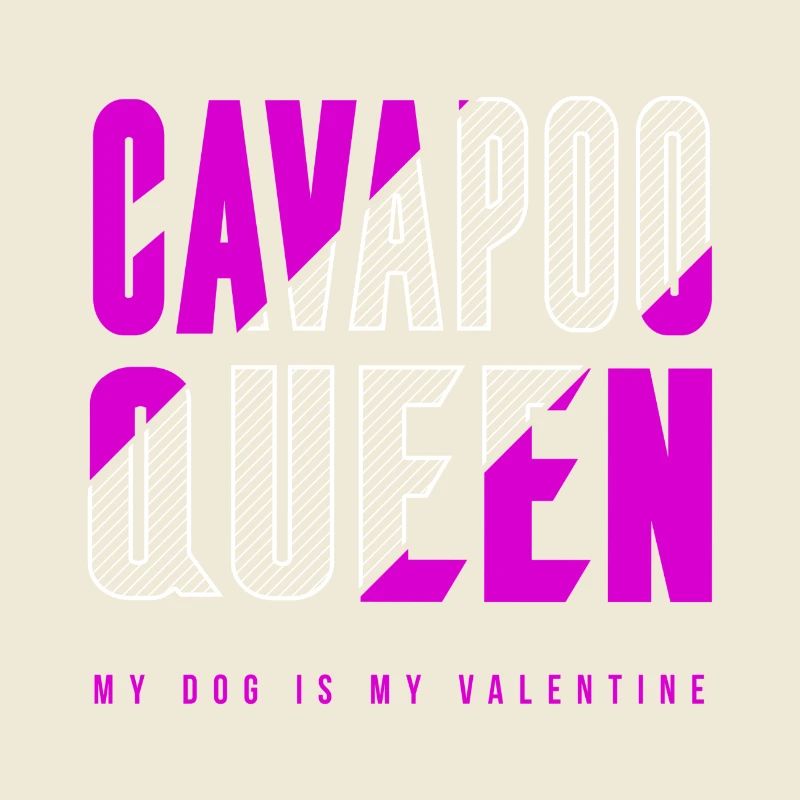 Cavapoo Königin
