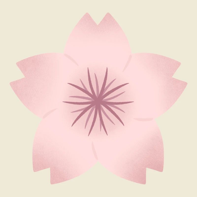 Blush Cherry Bloom