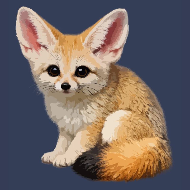 Fennec desert fox
