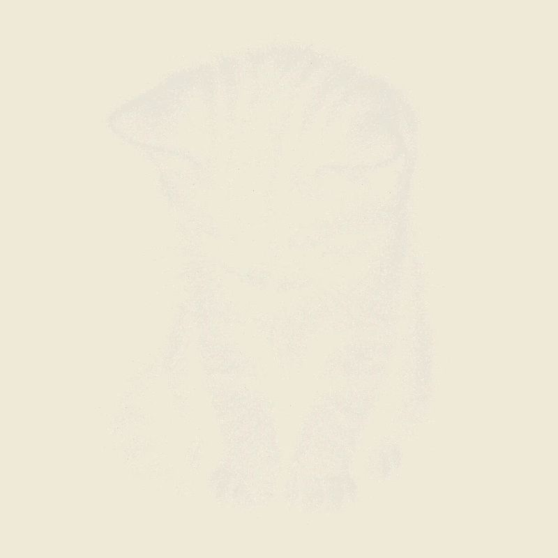 Chaton triste Chat mignon, dessin mignon