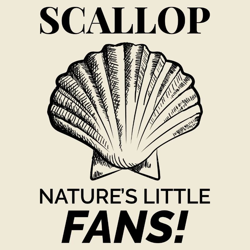 Scallop Seashells Collector Beachcomber Shellfish