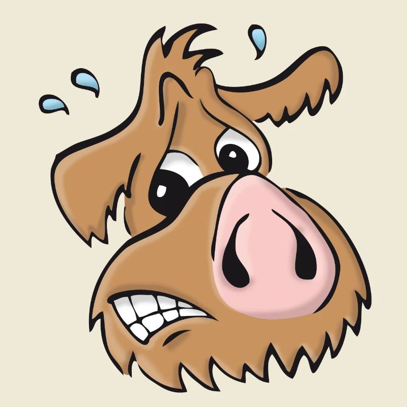 Pig dog - oops