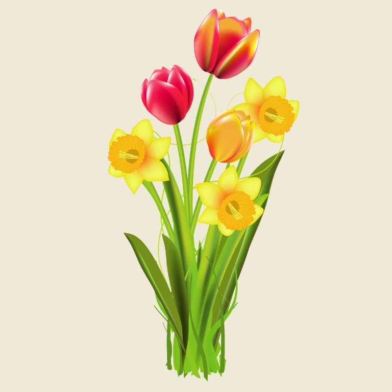 Colorful tulips and daffodils as a spring greeting