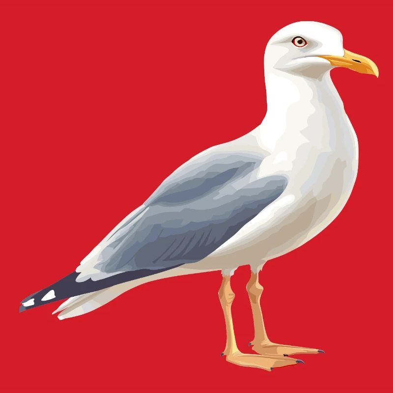 Coastal Clouds Seagull