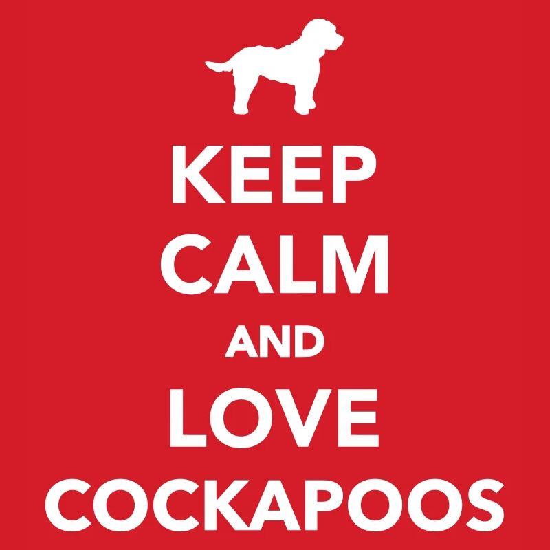 Cockapoo