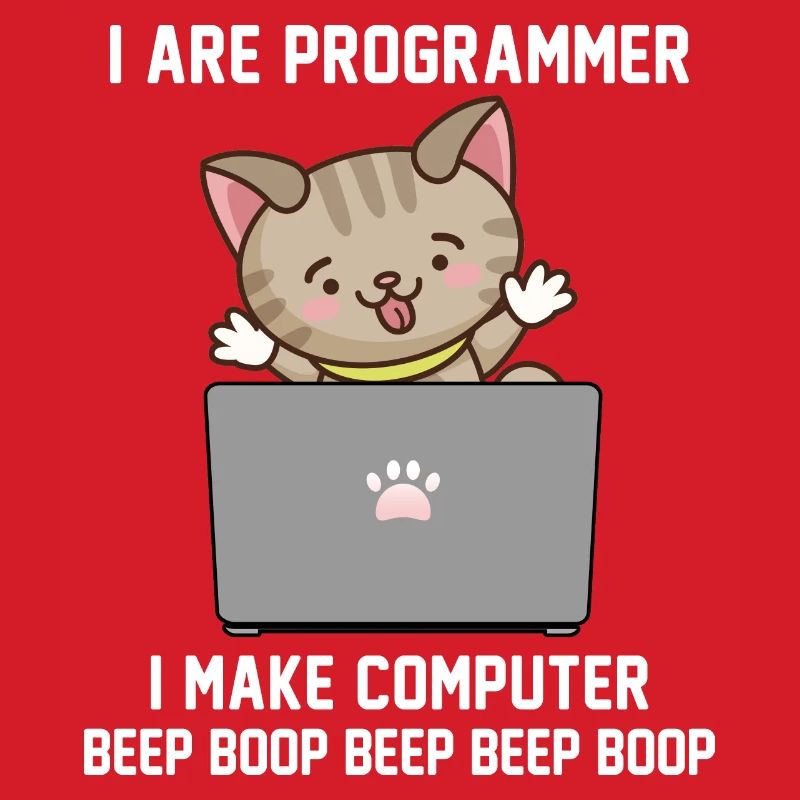 Programmierer