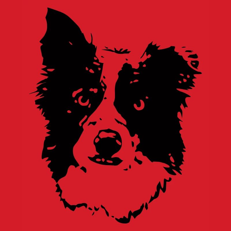 Border_Collie2_cb