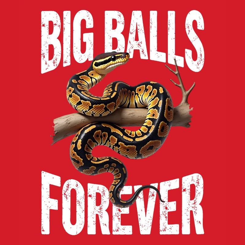 Python roi Serpents Amateurs de terrarium Python