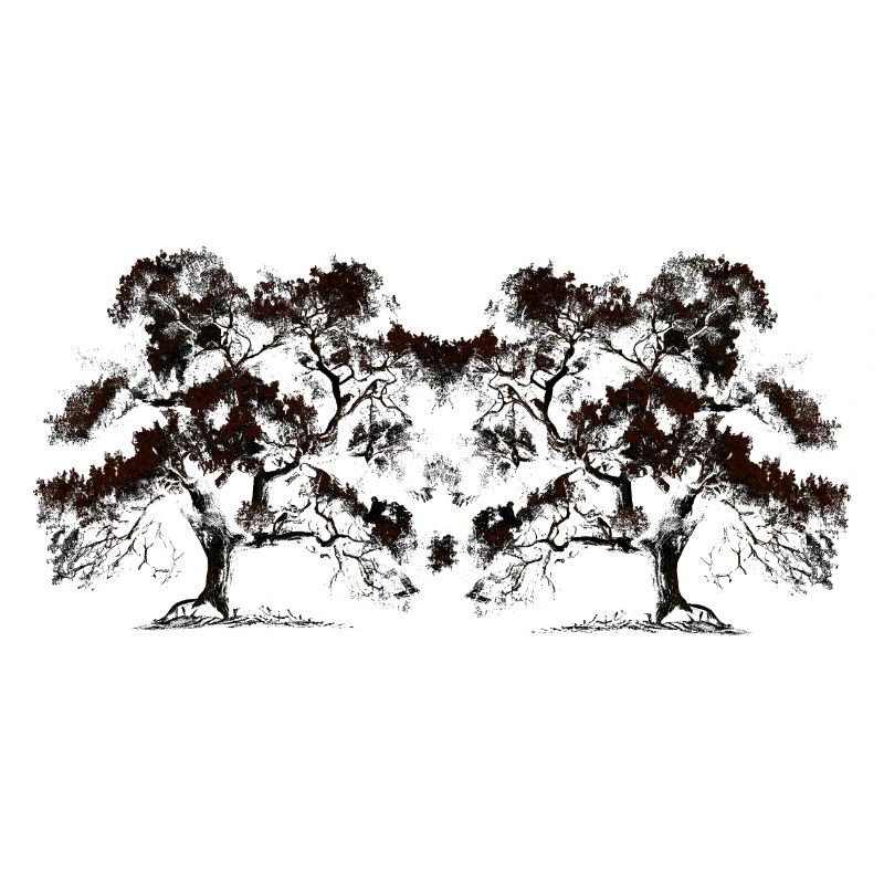 Tree, Trees, Botany, Flora, Forest, Nature