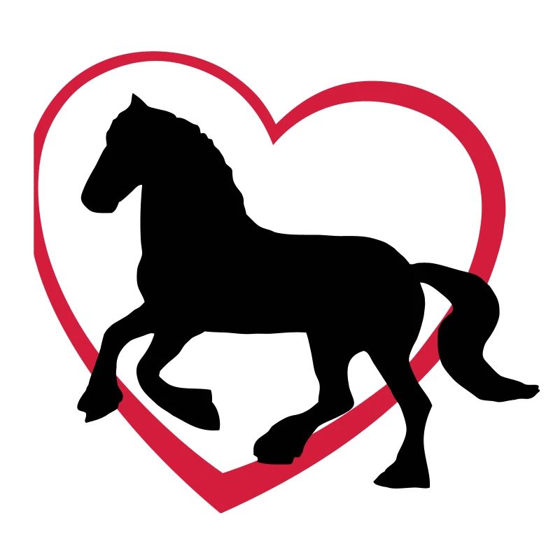 Frison Gypsy Cob ou le type de cheval avec le