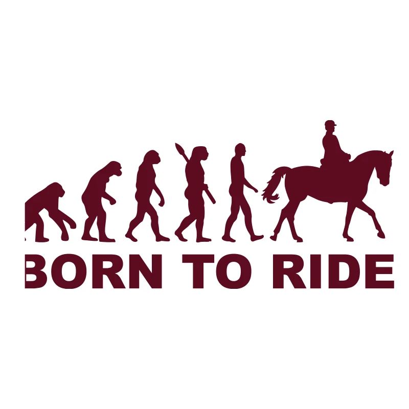 Evolution Reiten