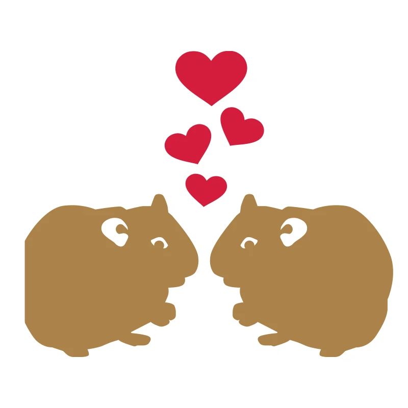 Cochon d'Inde