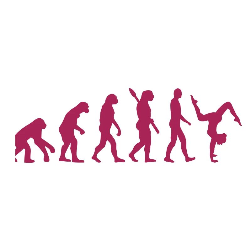 Evolution Gymnastics