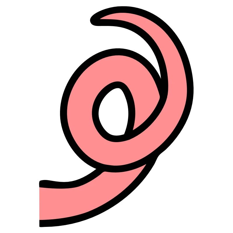 RingTail cochon