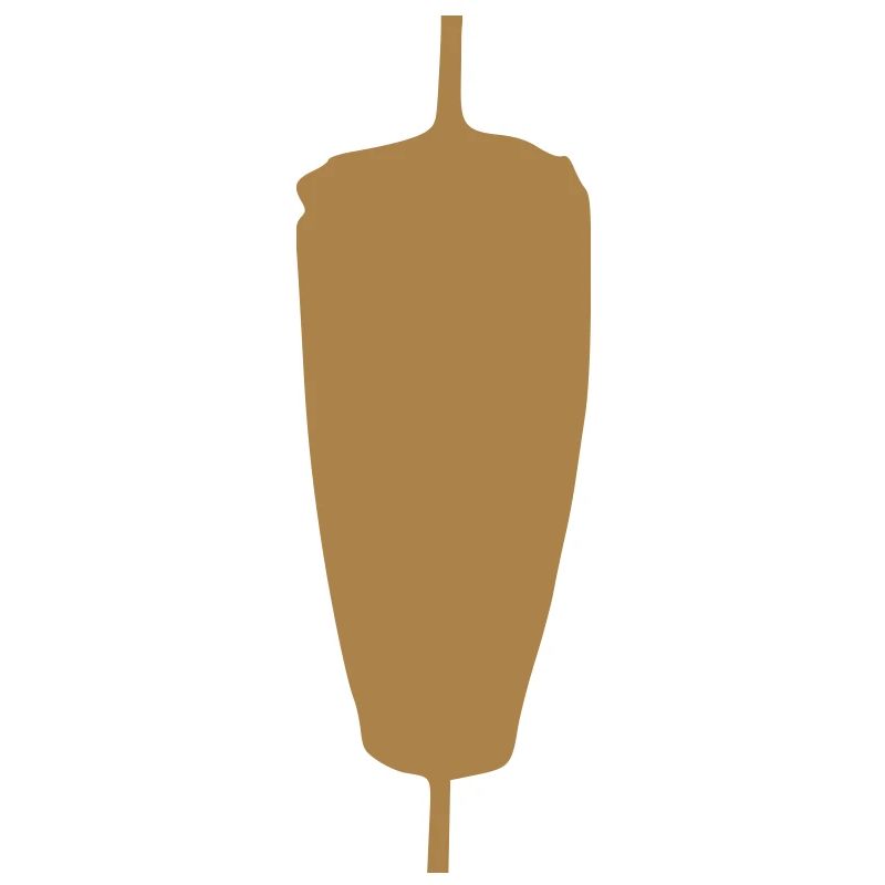 Kebab meat