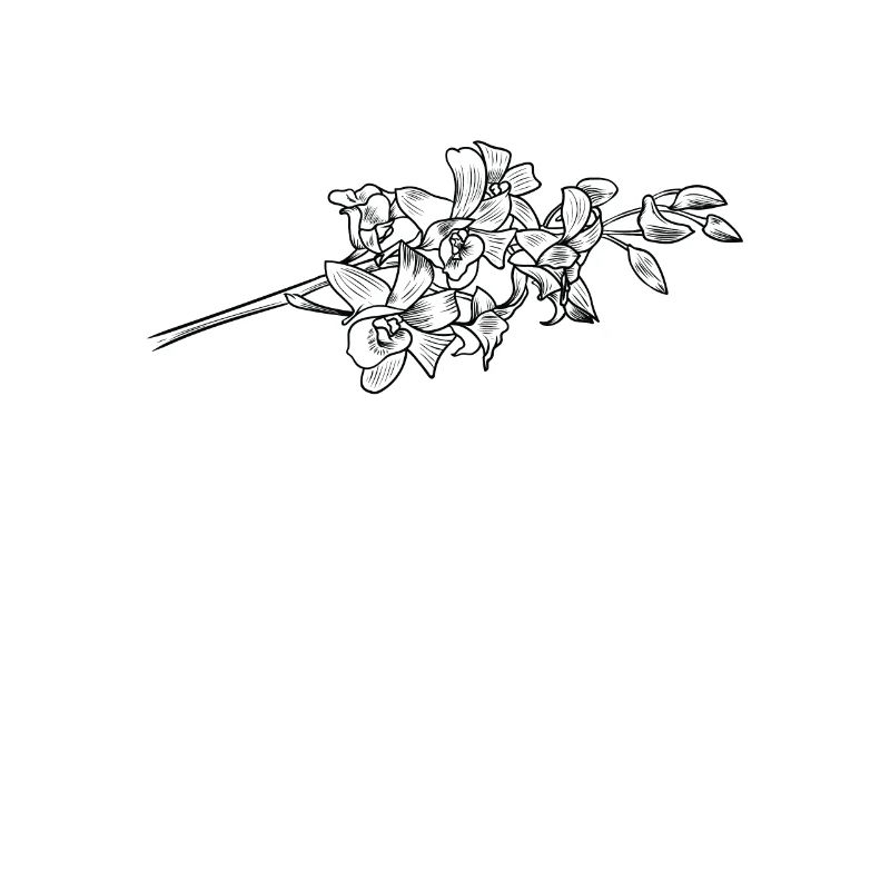 Fleur d’orchidée fleur parfum