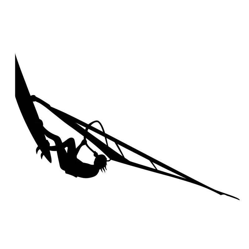 Windsurfer