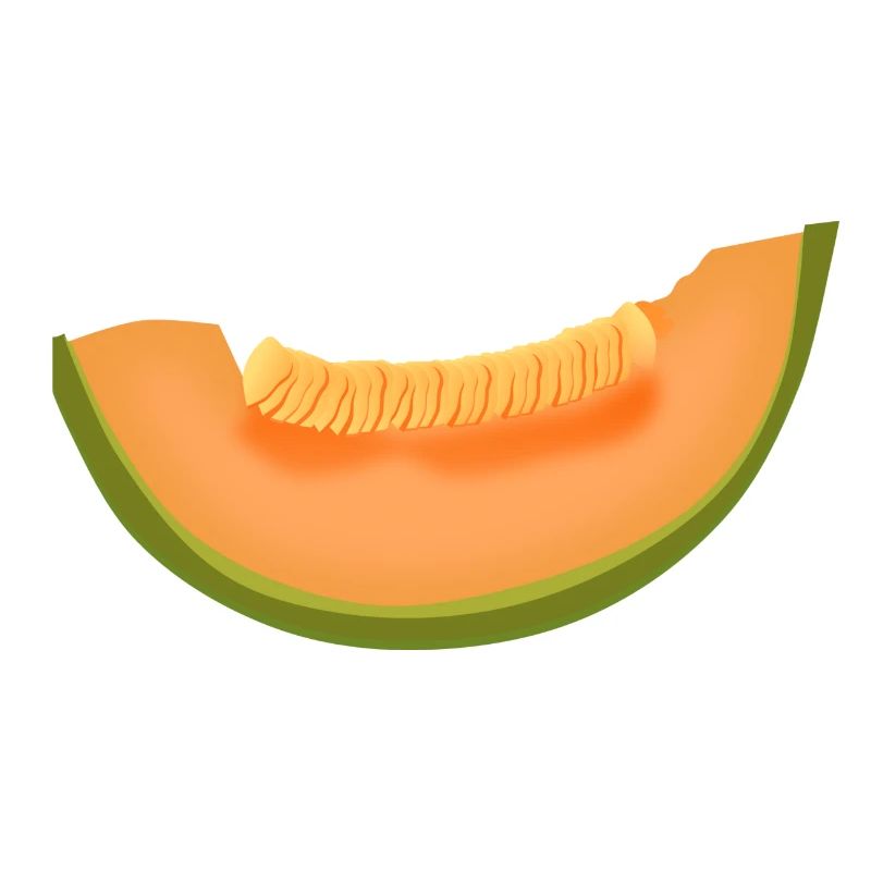 veggie pastèque pastèque melon melon gemues