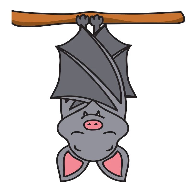 bat