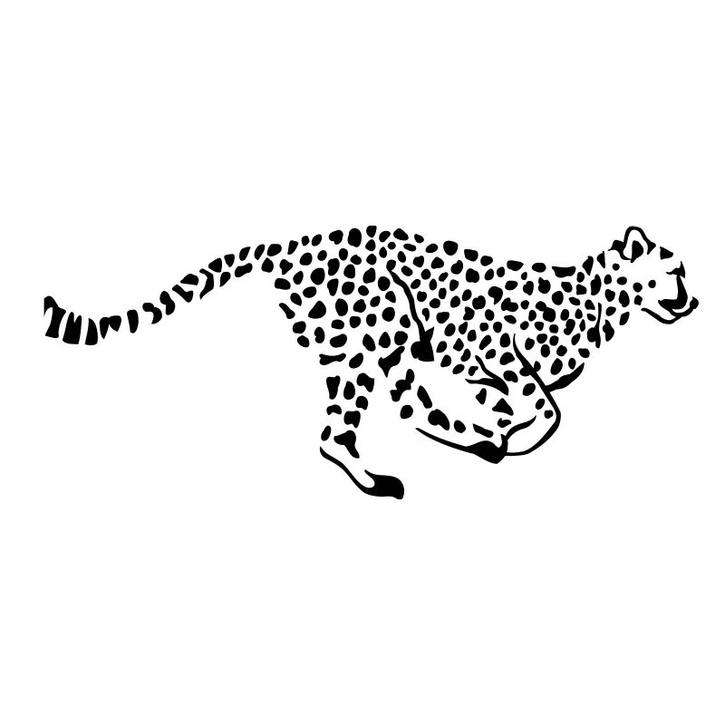 Leopardo