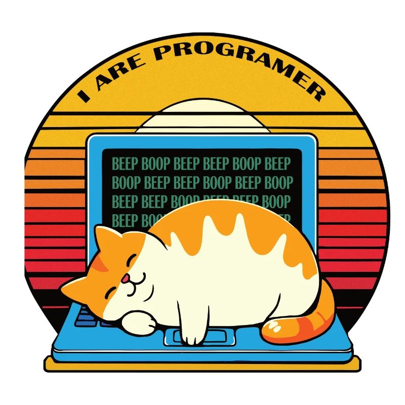Je suis programmeur, gros chat endormi