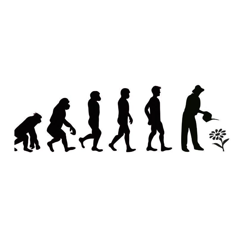 Evolution Gärtner schwarz
