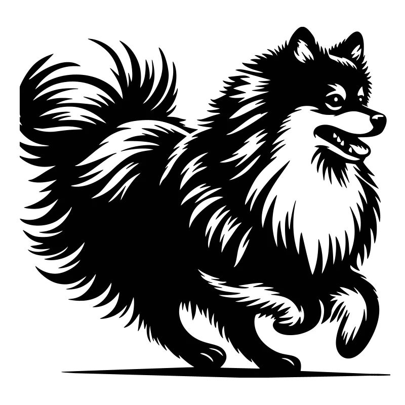 Spitz