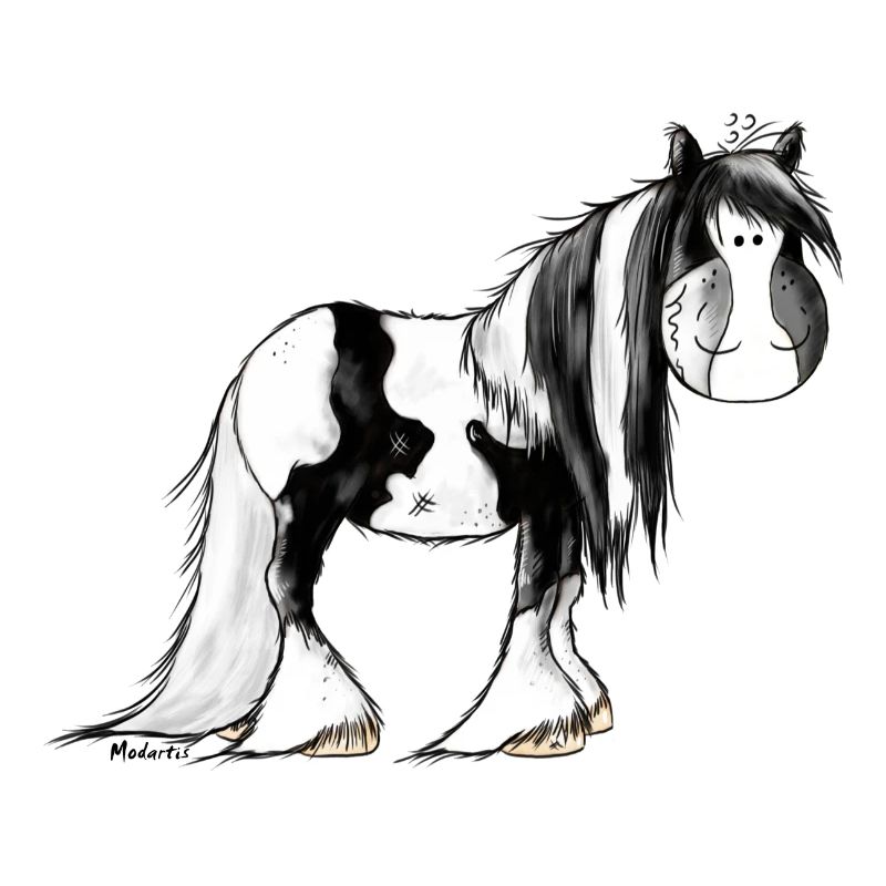 Irish Tinker Pferd - Pinto