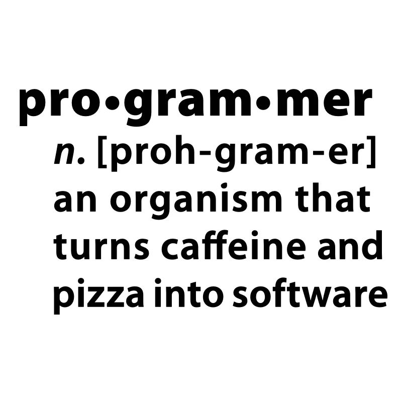 Programmer definition - Programmer la définition