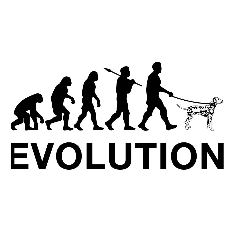 Evolution