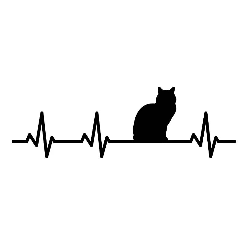 Cat pulse rate