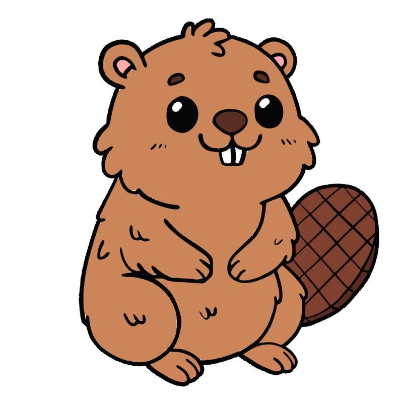 Beaver