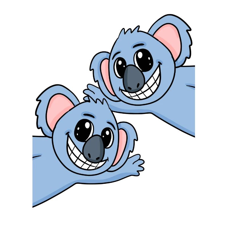 Koala Koalas