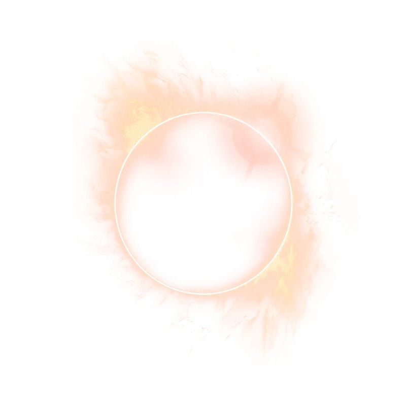 SOLAR ECLIPSE ASTRONOMY LOVERS