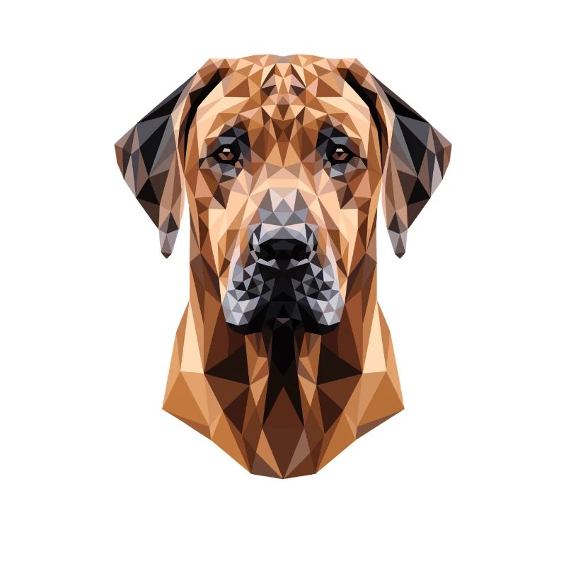 Chiens de chasse Rhodesian Ridgeback Pride Ridgeback