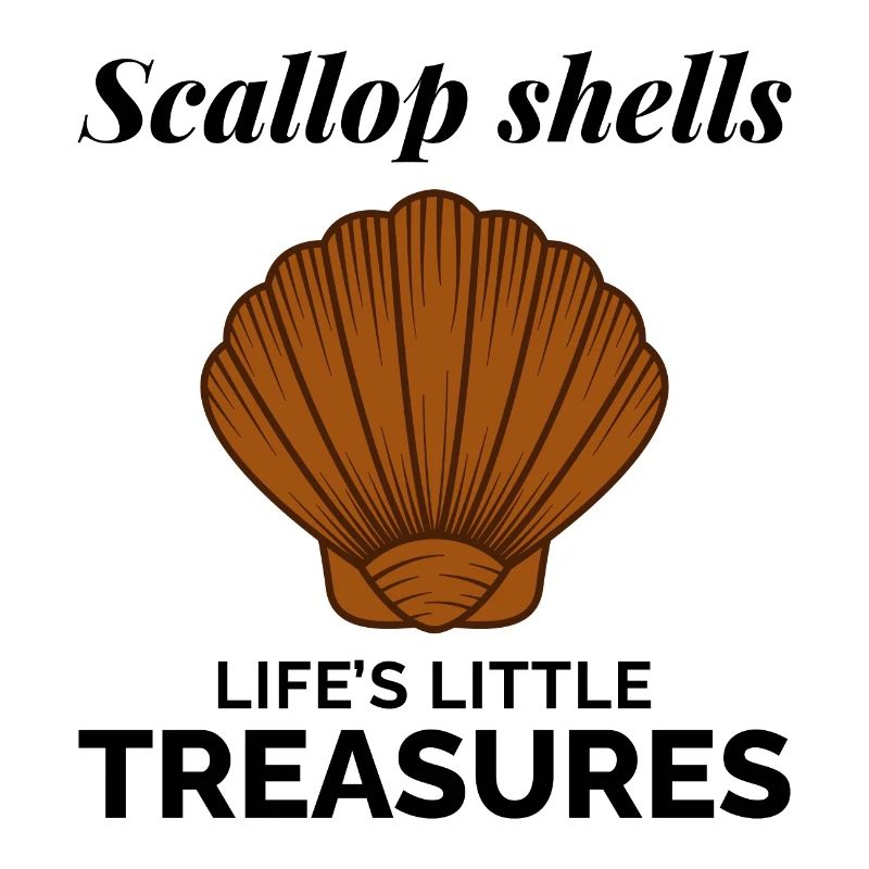 Scallop Seashells Collector Beachcomber Shellfish