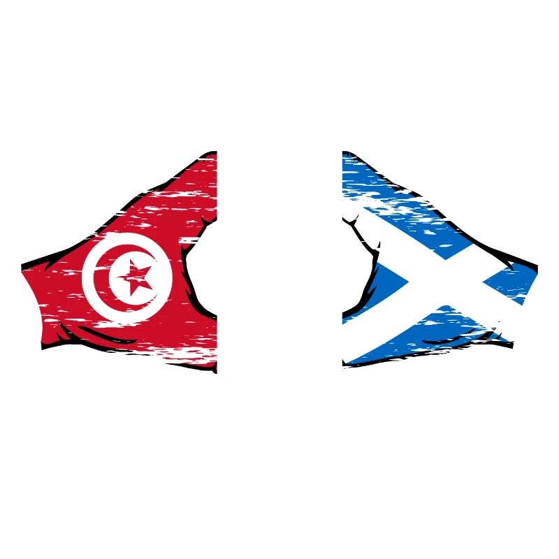 Tunisie Ecosse Drapeau Mains Coeur Forme Utilisé