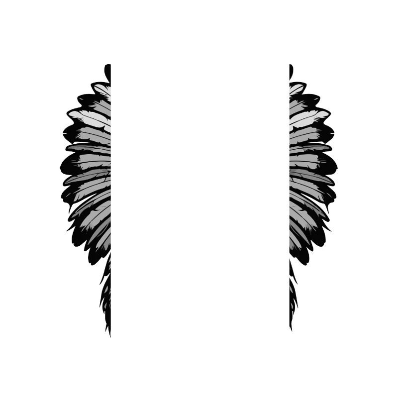 Crâne de chef indien Apache